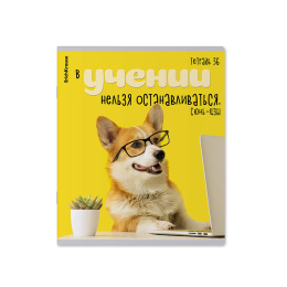 Тетрадь общая ученическая ErichKrause Ученые собаки, 36 л., клетка_МИКС
