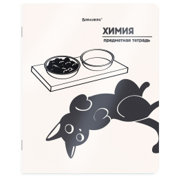 Тетрадь предметная КОТ-НЕПОСЕДА 48 л., пластиковая обложка, ХИМИЯ, клетка, подсказ, BRAUBERG, 405538