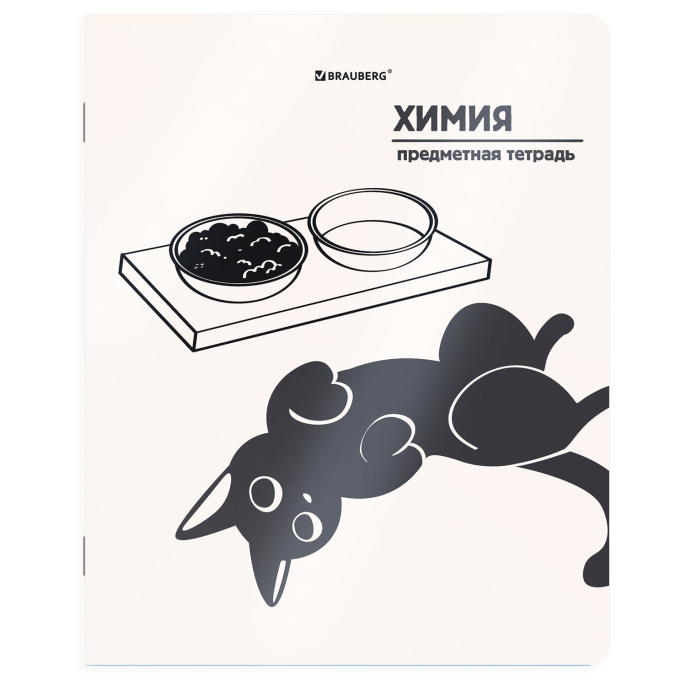 Тетрадь предметная КОТ-НЕПОСЕДА 48 л., пластиковая обложка, ХИМИЯ, клетка, подсказ, BRAUBERG, 405538