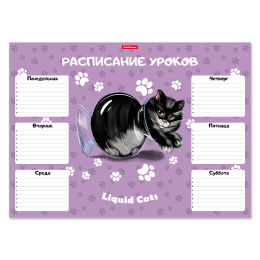 Расписание уроков ErichKrause Жидкие коты, А3