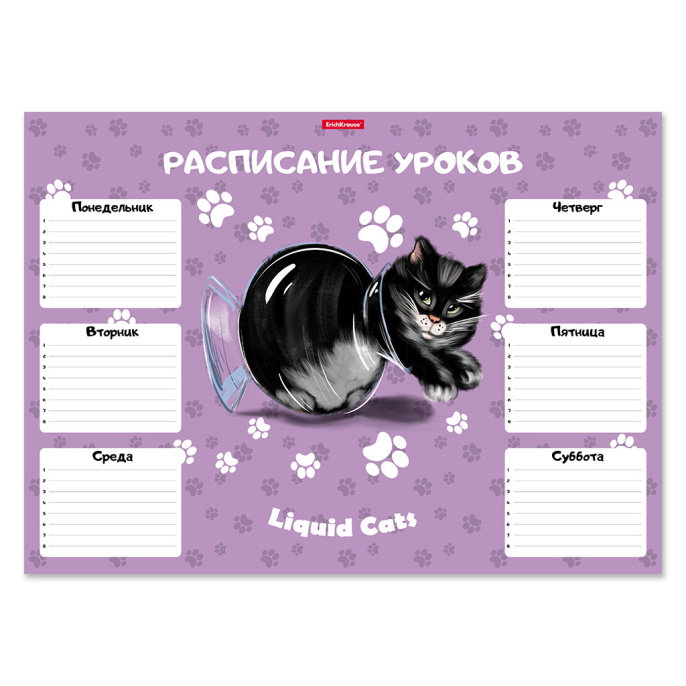Расписание уроков ErichKrause Жидкие коты, А3