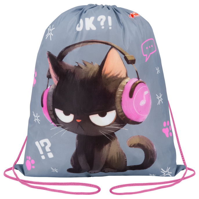 Мешок для обуви ПИФАГОР, 1 отделение, 42х34 см, "Ruffled kitten", 274631