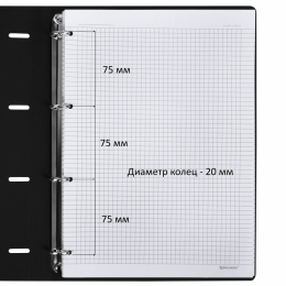 Тетрадь на кольцах БОЛЬШАЯ А4 (240х310 мм), 120 л., под кожу, BRAUBERG VISTA, "Туман", 404515