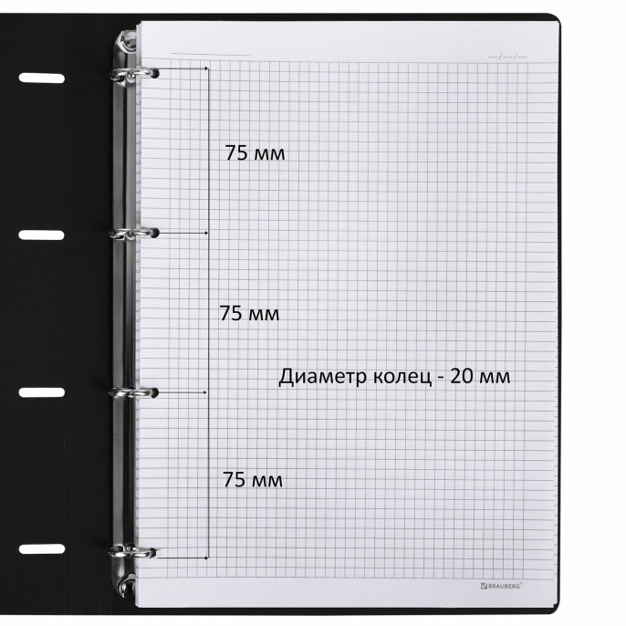 Тетрадь на кольцах БОЛЬШАЯ А4 (240х310 мм), 120 л., под кожу, BRAUBERG VISTA, "Туман", 404515