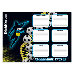 Расписание уроков ErichKrause ДНК спорта, А3
