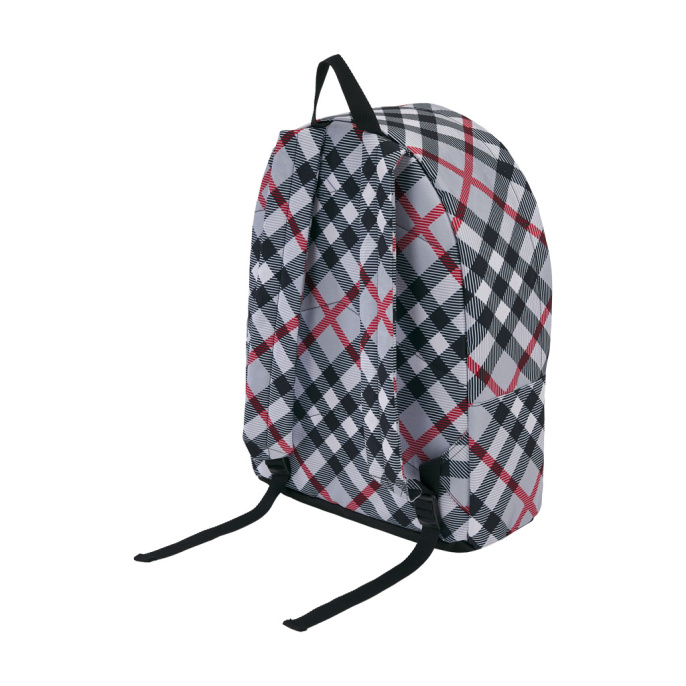 Рюкзак ErichKrause EasyLine® 17Л В клеточку