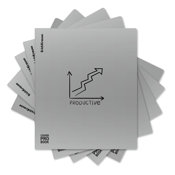 Тетрадь общая ученическая с пласт. обл. на скобе ErichKrause CoverProBook® Стиль жизни, текстура песок, серебристый, А5+, 48 л., клетка_МИКС