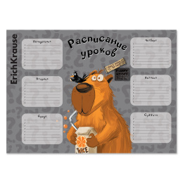 Расписание уроков ErichKrause Капибара, А3