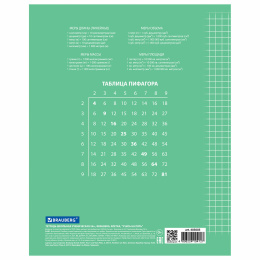 Тетрадь 24 л. BRAUBERG ЭКО "5-КА", клетка, обложка картон 170 г/м2, ЗЕЛЕНАЯ, 403003
