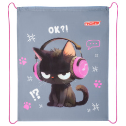 Мешок для обуви ПИФАГОР, 1 отделение, 42х34 см, "Ruffled kitten", 274631