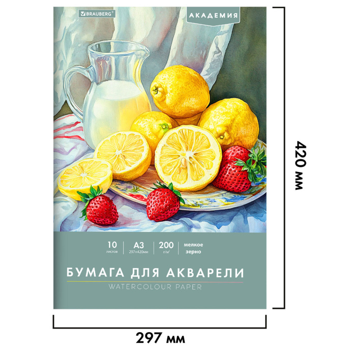 Папка для акварели БОЛЬШАЯ А3, 10 л., 200 г/м2, 297х420 мм, BRAUBERG АКАДЕМИЯ, "Летний натюрморт", 117741