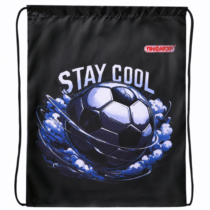 Мешок для обуви ПИФАГОР, 1 отделение, 42х34 см, "Stay cool", 274632