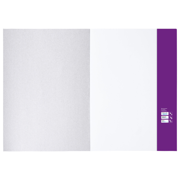 Папка для рисования БОЛЬШОГО ФОРМАТА А3, 20 л., 160 г/м2, BRAUBERG, 297х420 мм, "Орел", 125228