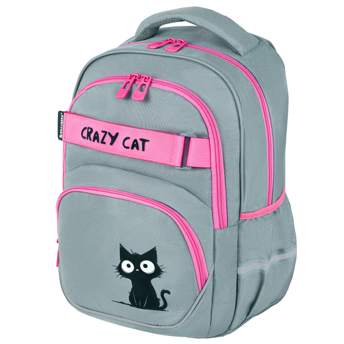 Рюкзак BRAUBERG MOTION, 2 отделения, 3 кармана, "Crazy cat", 41х28х17 см, 273115