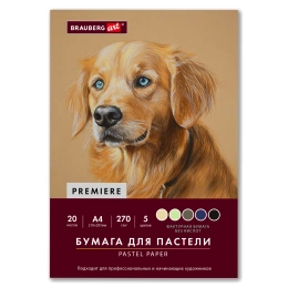 Бумага для пастели ФАКТУРНАЯ, А4, в папке, 20 листов, 5 цветов, 270 г/м2, BRAUBERG ART, 117755