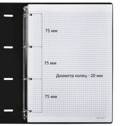 Тетрадь на кольцах БОЛЬШАЯ А4 (240х310 мм), 120 л., под кожу, BRAUBERG VISTA, "Гранаты", 404513