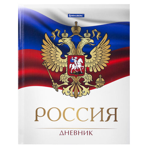 Дневник 5-11 класс 48 л., твердый, BRAUBERG, глянцевая ламинация, с подсказом, "Символика 2", 106067