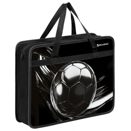 Папка на молнии с ручками BRAUBERG А4, 1 отделение, пластик, 80 мм, "Metal ball", 274499