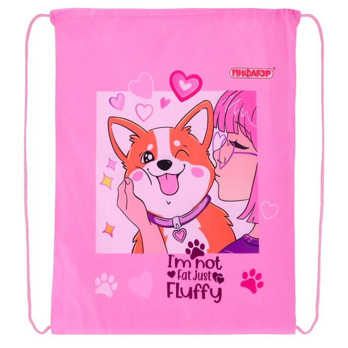 Пифагор аяқ киім сөмкесі, 1 бөлім, 42х34 см, "Fluffy akita", 272385