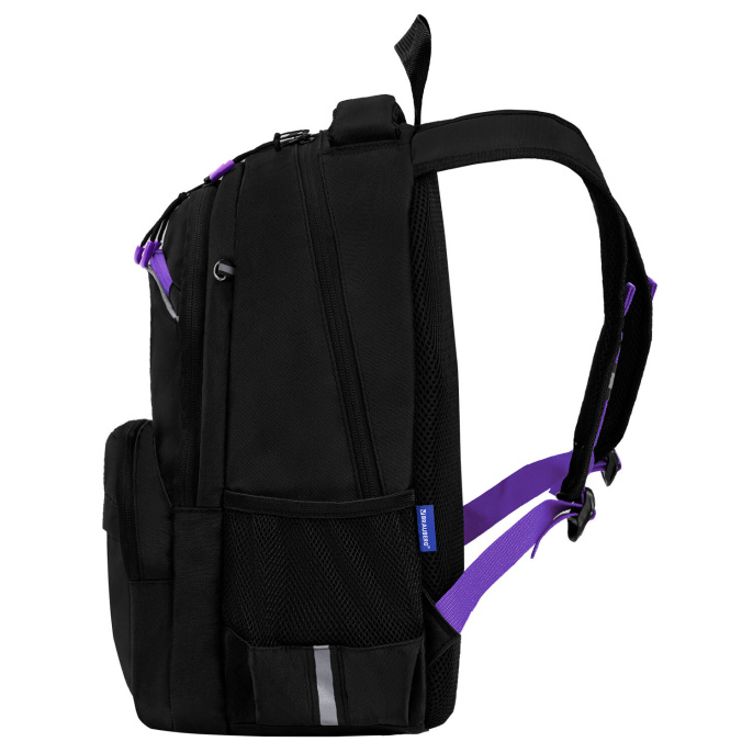 Рюкзак BRAUBERG FORCE, 2 отделения, 5 карманов, "Purple bow", 39х28х17 см, 274409