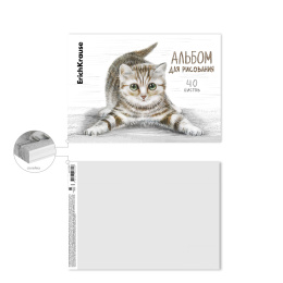 ErichKrause желіммен сурет салу альбомы табби мысық, A4, 40 Парақ