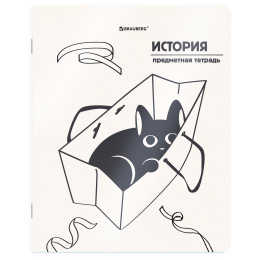 Тетрадь предметная КОТ-НЕПОСЕДА 48 л., пластиковая обложка, ИСТОРИЯ, клетка, подсказ, BRAUBERG, 405534