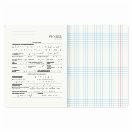 Тетрадь предметная "КОТ-ЭНТУЗИАСТ" 48 л., TWIN-лак, ФИЗИКА, клетка, подсказ, BRAUBERG, 404566