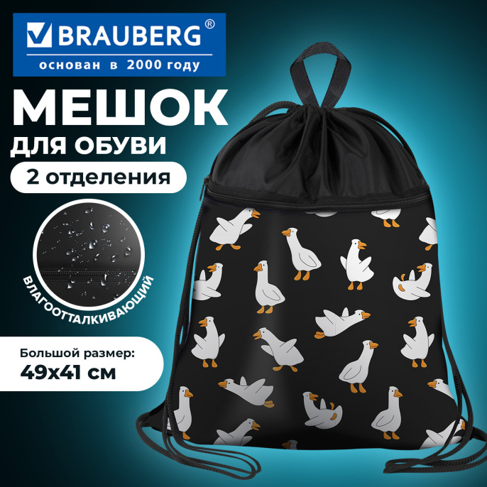 Мешок для обуви BRAUBERG БОЛЬШОЙ, с ручкой, карман на молнии, сетка, 49х41 см, "Crazy geese", 274638