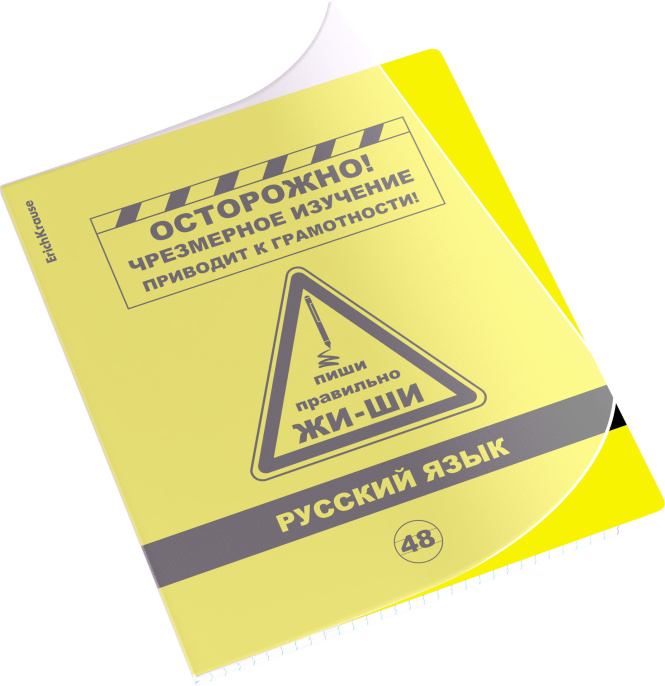 Тетрадь общая ученическая с пласт. обл. на скобе ErichKrause Будь в курсе, текстура апельсин, Русский язык, 48 л., линейка