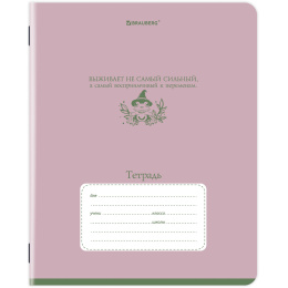 Тетрадь 12 л. BRAUBERG клетка, обложка картон, PHRASES, 107777