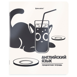 Тетрадь предметная КОТ-НЕПОСЕДА 48 л., пластиковая обложка, АНГЛИЙСКИЙ ЯЗЫК, клетка, подсказ, BRAUBERG, 405529