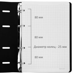 Тетрадь на кольцах БОЛЬШАЯ А4, 240х310 мм, 120 л., под кожу, BRAUBERG VISTA, "Minimal", черный, 405203
