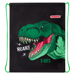 Пифагор аяқ киім сөмкесі, 1 бөлім, 42х34 см, "Dino roar", 272387