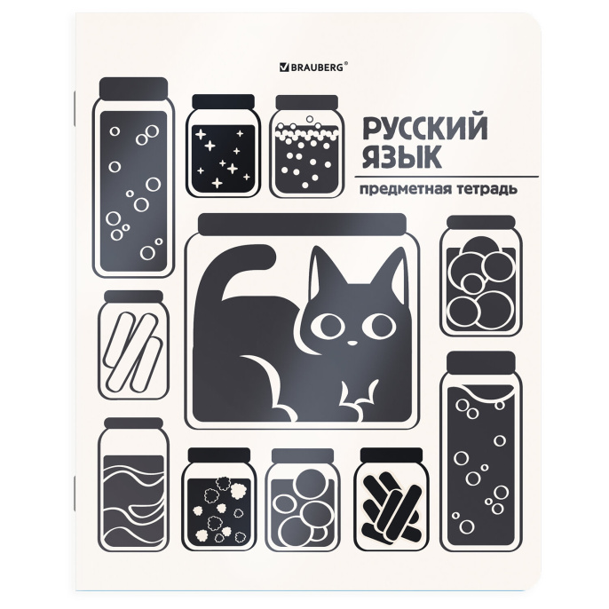 Тетрадь предметная КОТ-НЕПОСЕДА 48 л., пластиковая обложка, РУССКИЙ ЯЗЫК, линия, подсказ, BRAUBERG, 405536