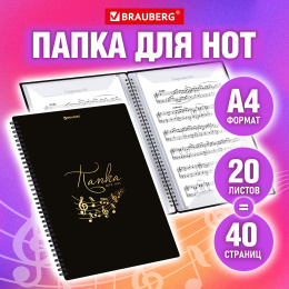А4 ноталарына арналған дәптер қалтасы, 40 беттен тұратын 20 лайнер, тарақта, пластик, қара, BRAUBERG, 404643