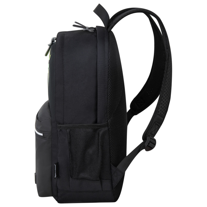 Рюкзак BRAUBERG FASHION CITY универсальный, 2 отделения, "Green Spider", черный, 46х31х15 см, 273839