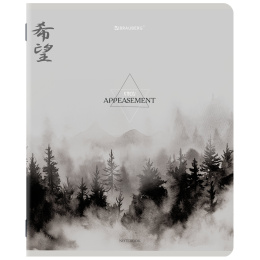 Тетради ДЭК А5 48 л. КОМПЛЕКТ 5 шт. BRAUBERG скоба, клетка, матовая ламинация, CALM NATURE, 404951