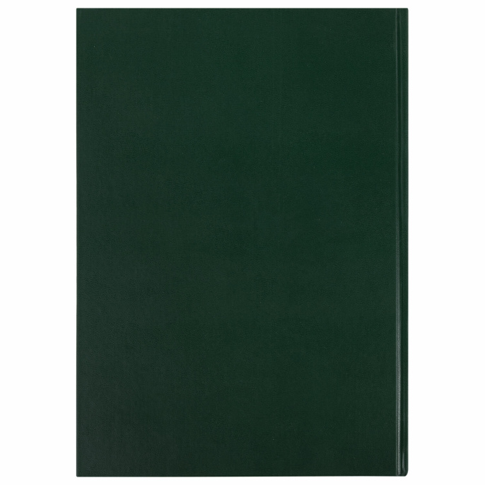 Книга учета 96 л., клетка, твердая, бумвинил, офсет, наклейка, А4 (200х290 мм), BRAUBERG, зеленая, 130280