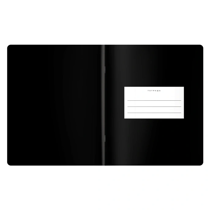 Тетрадь предметная BLACK MODE 48 л., пластиковая обложка, ИНФОРМАТИКА, клетка, подсказ, BRAUBERG, 405520