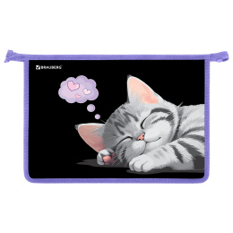 Папка для труда на молнии BRAUBERG А4, 2 отделения, органайзер, "Sleeping kitten", 273401