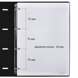 Тетрадь на кольцах БОЛЬШАЯ А4 (240х310 мм), 120 л., под кожу, BRAUBERG VISTA, Black, 404512