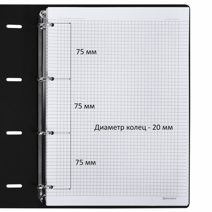 Тетрадь на кольцах БОЛЬШАЯ А4 (240х310 мм), 120 л., под кожу, BRAUBERG VISTA, Black, 404512