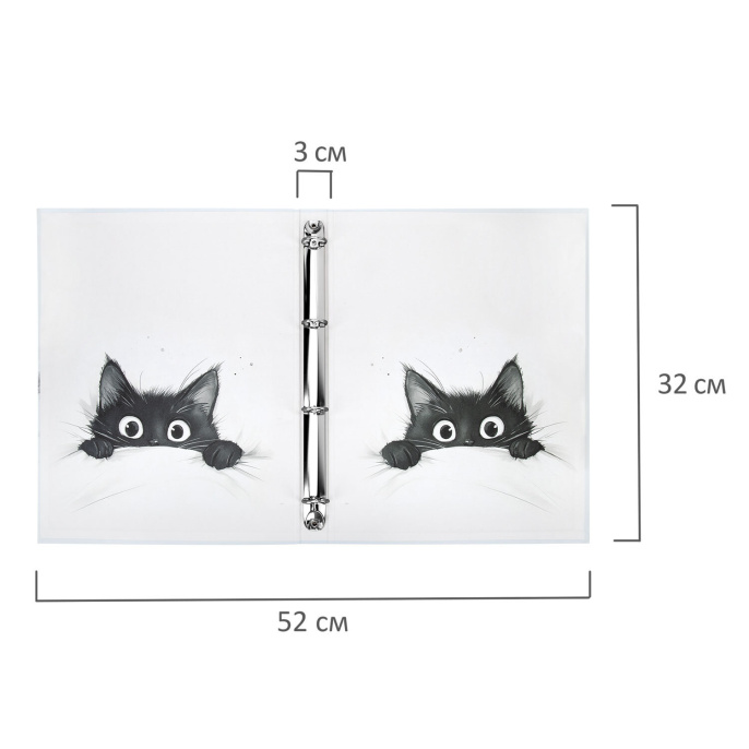Папка-портфолио универсальная, 4 кольца, 20 файлов, 7БЦ матовая, BRAUBERG "Cat", 107557, 117557