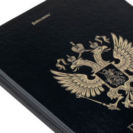 Дневник 1-11 класс 40 л., твердый, BRAUBERG, глянцевая ламинация, "Герб", 107598