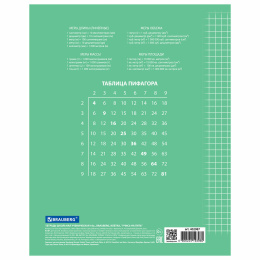 Тетрадь 18 л. BRAUBERG ЭКО "5-КА", клетка, обложка картон 170 г/м2, ЗЕЛЕНАЯ, 402987