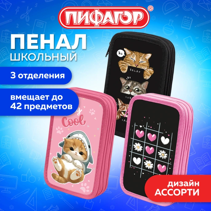Пенал ПИФАГОР, 3 отделения, ламинированный картон, 19х11 см, АССОРТИ для девочек, 274562