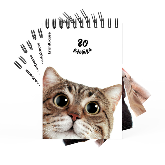 Блокнот на спирали ErichKrause Котики, А6, 80 л., клетка_МИКС