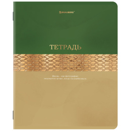 Тетради ДЭК А5 48 л. КОМПЛЕКТ 5 шт. BRAUBERG скоба, клетка, SoftTouch, фольга, GOLDY, 404925