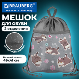 BRAUBERG аяқ киім сөмкесі үлкен, тұтқасы бар, сыдырма қалта, тор, 49х41 см, "сүйкімді мысықтар", 274637