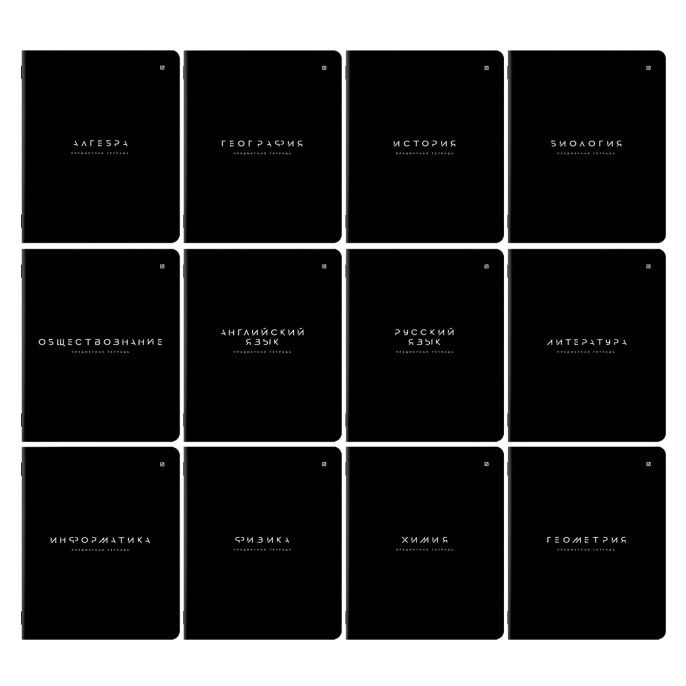 Тетради предметные, КОМПЛЕКТ 12 ПРЕДМЕТОВ 48 л., пластиковая обложка, BRAUBERG "BLACK MODE", 405541